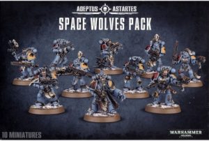 Space Wolves : Chasseur Gris
