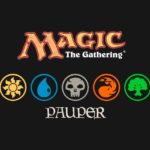 Magic : Pauper (FNM) [The Chump Wizards]